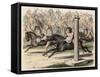 Ancient Greece: Sport: Mounting and dismounting from a horse at speed,-Heinrich Leutemann-Framed Stretched Canvas