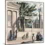 Ancient Greece: The holy olive tree at the castle (Acropolis) in Athen,-Heinrich Leutemann-Mounted Giclee Print