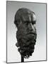 Ancient Greek Bronze Head of an Old Man with Long Beard (Philosopher of Porticello)-null-Mounted Photographic Print