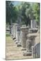 Ancient Greek ruins, gymnasium, Olympia, Greece-Jim Engelbrecht-Mounted Photographic Print