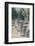 Ancient Greek ruins, gymnasium, Olympia, Greece-Jim Engelbrecht-Framed Photographic Print