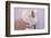 Ancient Greek Sphinx Sculpture-Chris Hellier-Framed Photographic Print