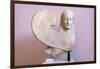 Ancient Greek Sphinx Sculpture-Chris Hellier-Framed Photographic Print