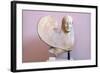 Ancient Greek Sphinx Sculpture-Chris Hellier-Framed Photographic Print