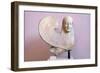 Ancient Greek Sphinx Sculpture-Chris Hellier-Framed Photographic Print