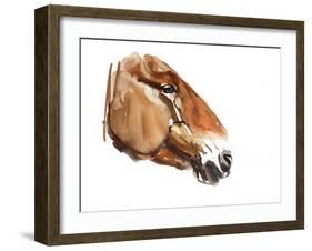 Ancient Head (Przewalski) 2012-Mark Adlington-Framed Giclee Print