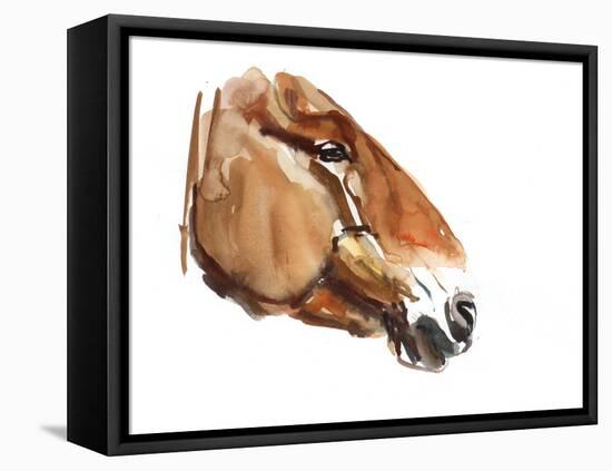 Ancient Head (Przewalski) 2012-Mark Adlington-Framed Stretched Canvas