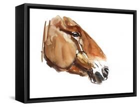 Ancient Head (Przewalski) 2012-Mark Adlington-Framed Stretched Canvas