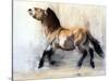 Ancient Horse (Przewalski in winter), 2014-Mark Adlington-Stretched Canvas