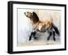 Ancient Horse (Przewalski in winter), 2014-Mark Adlington-Framed Giclee Print