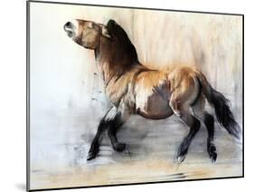 Ancient Horse (Przewalski in winter), 2014-Mark Adlington-Mounted Giclee Print
