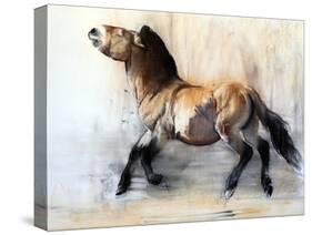 Ancient Horse (Przewalski in winter), 2014-Mark Adlington-Stretched Canvas