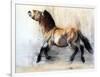 Ancient Horse (Przewalski in winter), 2014-Mark Adlington-Framed Premium Giclee Print