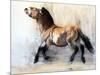 Ancient Horse (Przewalski in winter), 2014-Mark Adlington-Mounted Premium Giclee Print