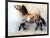 Ancient Horse (Przewalski in winter), 2014-Mark Adlington-Framed Premium Giclee Print