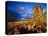 Ancient Inca Tomb at Sunset, Near Lake Titicaca, Peru-Jim Zuckerman-Stretched Canvas