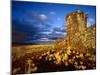 Ancient Inca Tomb at Sunset, Near Lake Titicaca, Peru-Jim Zuckerman-Mounted Premium Photographic Print