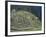 Ancient Incan Ruins of Machu Picchu, Peru-Sybil Sassoon-Framed Photographic Print