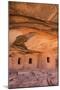 Ancient Indian Granaries, Road Canyon, Cedar Mesa, Utah, United States of America, North America-Gary Cook-Mounted Photographic Print