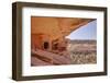 Ancient Indian Granaries, Road Canyon, Cedar Mesa, Utah, United States of America, North America-Gary Cook-Framed Photographic Print