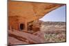 Ancient Indian Granaries, Road Canyon, Cedar Mesa, Utah, United States of America, North America-Gary Cook-Mounted Photographic Print