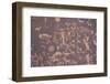 Ancient Indian Rock Art-Gary-Framed Photographic Print
