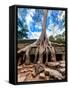 Ancient Khmer Architecture. Ta Prohm Temple with Giant Banyan Tree at Angkor Wat Complex, Siem Reap-Im Perfect Lazybones-Framed Stretched Canvas