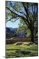 Ancient Mayan Temple, Palenque, Chiapas, Mexico-Rob Cousins-Mounted Photographic Print