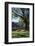 Ancient Mayan Temple, Palenque, Chiapas, Mexico-Rob Cousins-Framed Photographic Print