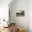 Ancient Neapolitan Horse Trap-Filippo Palizzi-Stretched Canvas displayed on a wall
