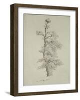 Ancient Oak Tree with a Stork's Nest, 23rd May 1806-Caspar David Friedrich-Framed Giclee Print