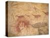 Ancient Paintings in Cave of the Hands, Santa Cruz Province, Patagonia, Argentina-Lin Alder-Stretched Canvas
