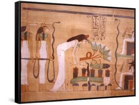 Ancient Papyrus, Cairo Museum of Egyptian Antiquities, Cairo, Egypt-Stuart Westmoreland-Framed Stretched Canvas