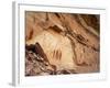 Ancient Pictographs in Horseshoe Canyon, Canyonlands National Park, Utah, USA-Scott T. Smith-Framed Photographic Print