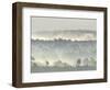 Ancient Pine Forest Emerging from Dawn Mist, Strathspey, Scotland, UK-Pete Cairns-Framed Premium Photographic Print