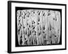Ancient Promissory Note, Clay Tablet, in Cuneiform, from a Collection at Chase National Bank-null-Framed Photographic Print