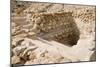 Ancient Ritual Bath In Qumran-null-Mounted Photographic Print