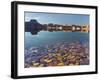 Ancient River Rock from the Colorado River II-Donald Paulson-Framed Giclee Print