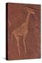 Ancient Rock Etchings, Twyfelfontein, Damaraland, Namibia-David Wall-Stretched Canvas