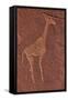 Ancient Rock Etchings, Twyfelfontein, Damaraland, Namibia-David Wall-Framed Stretched Canvas