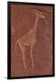 Ancient Rock Etchings, Twyfelfontein, Damaraland, Namibia-David Wall-Framed Photographic Print