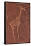 Ancient Rock Etchings, Twyfelfontein, Damaraland, Namibia-David Wall-Framed Stretched Canvas