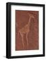 Ancient Rock Etchings, Twyfelfontein, Damaraland, Namibia-David Wall-Framed Photographic Print