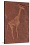 Ancient Rock Etchings, Twyfelfontein, Damaraland, Namibia-David Wall-Stretched Canvas