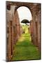 Ancient Roman Arch Walls Street Ostia Antica Ruins-William Perry-Mounted Photographic Print