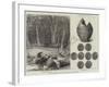 Ancient Roman Coins Found in Cobham Park, Near Gravesend-null-Framed Giclee Print