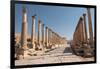 Ancient Roman road with colonnade, Jerash, Jordan, Middle East-Francesco Fanti-Framed Photographic Print