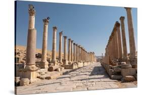 Ancient Roman road with colonnade, Jerash, Jordan, Middle East-Francesco Fanti-Stretched Canvas