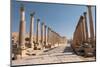 Ancient Roman road with colonnade, Jerash, Jordan, Middle East-Francesco Fanti-Mounted Photographic Print