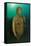 Ancient Roman statue of Antonia minor, Naples, Italy-Franco Banfi-Framed Stretched Canvas